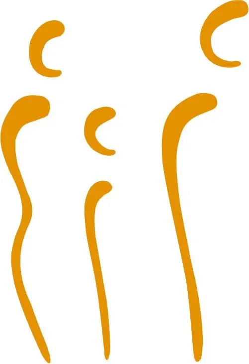 عکس ۱ از دکتر فرزانه وینگه