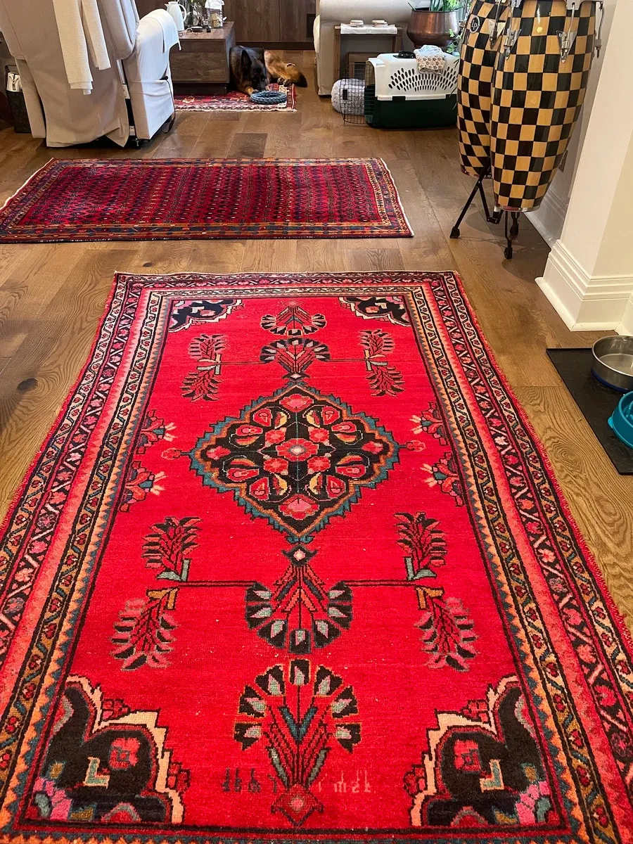 عکس ۱ از The Persian Rug Cleaning Company
