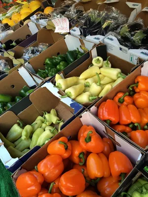 Foto 5 von Suroor Supermarket